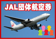 JALチケットの団体航空券